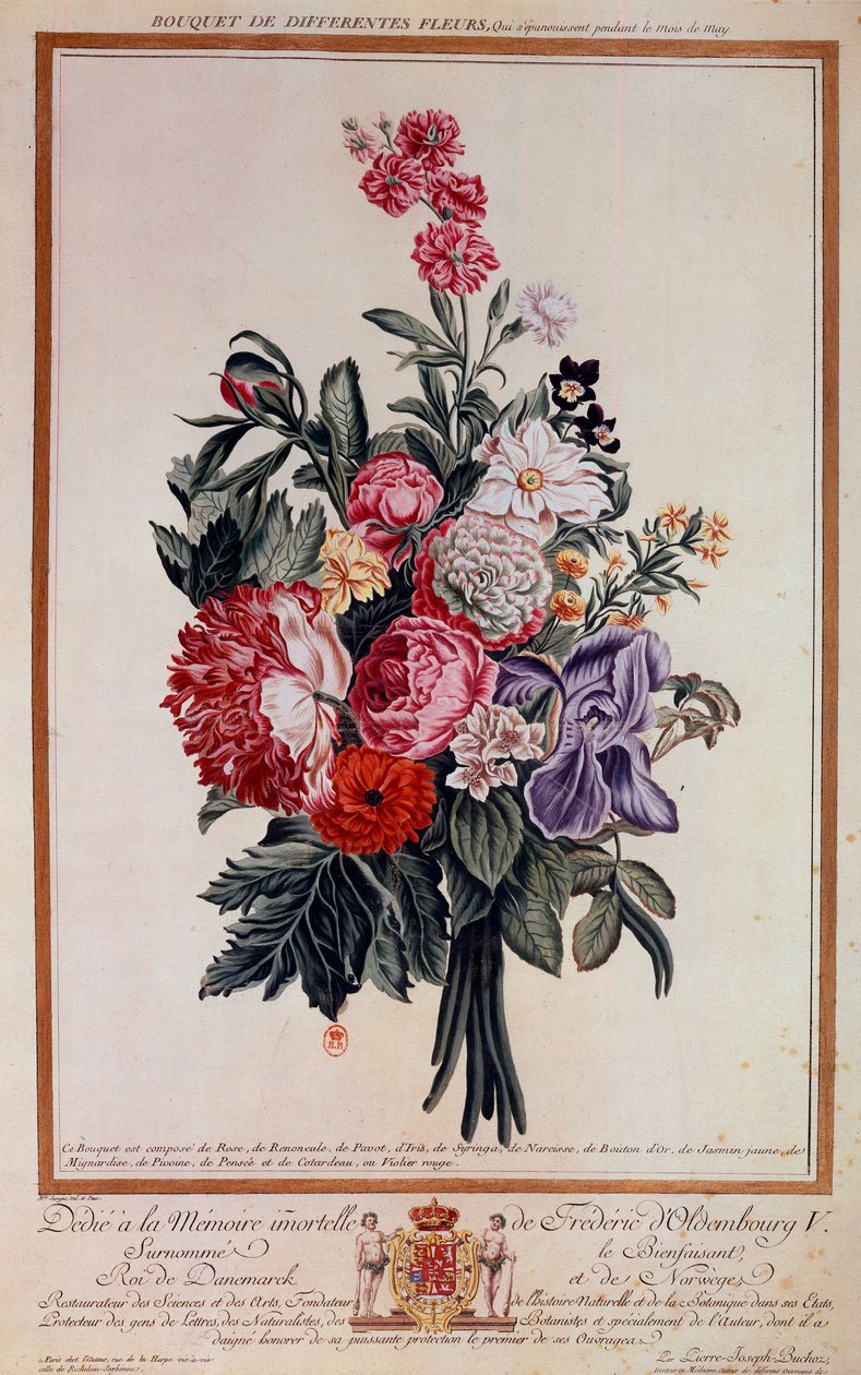 花束花混杂石版画通过皮埃尔·约瑟夫 作者 皮埃尔·约瑟夫·布霍兹