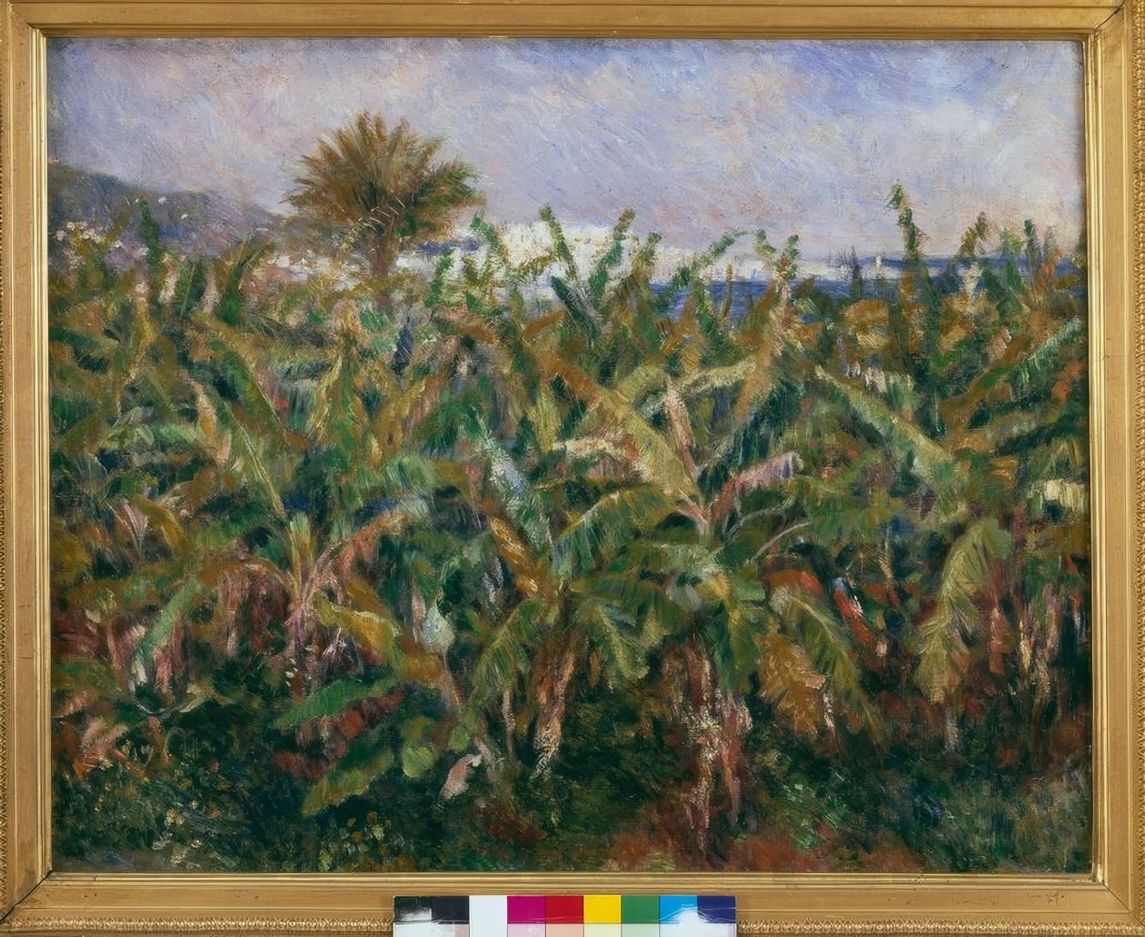 香蕉田 作者 皮埃尔·奥古斯特·雷诺阿