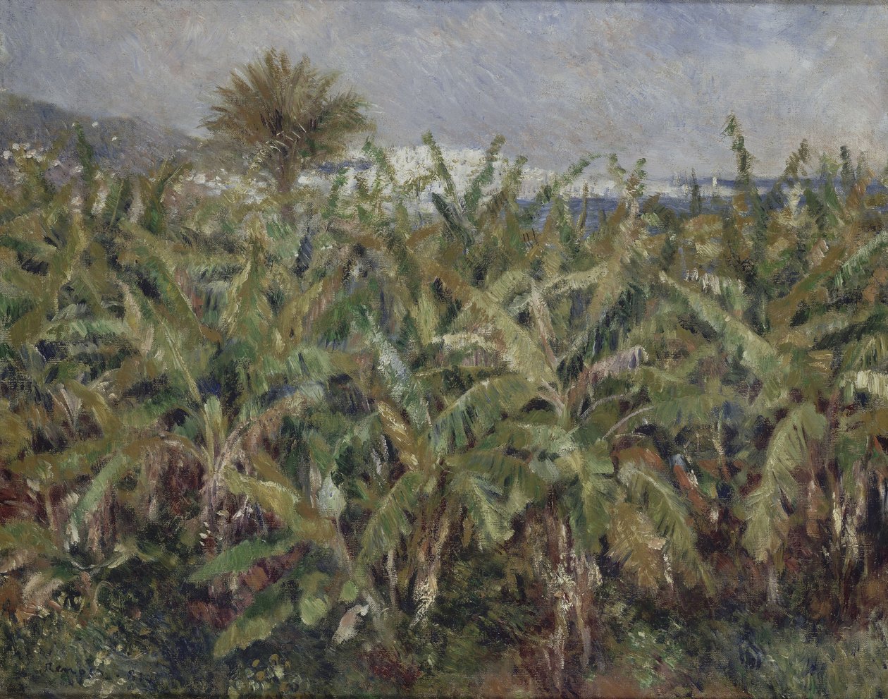 香蕉树的领域香蕉树的领域，1881年 作者 皮埃尔·奥古斯特·雷诺阿