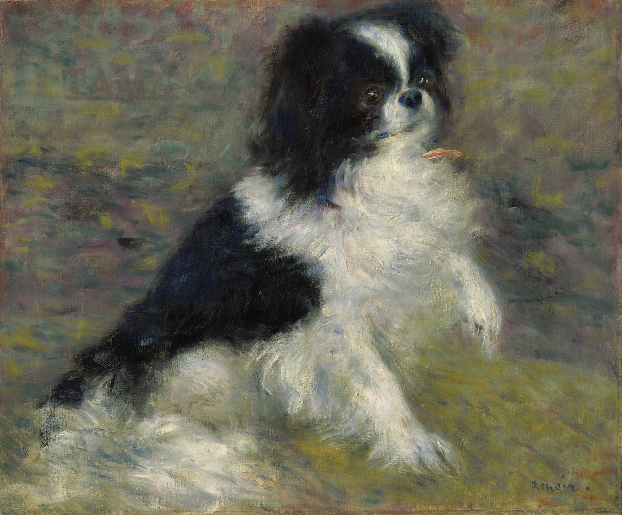 多摩，日本犬，约1876年 作者 皮埃尔·奥古斯特·雷诺阿