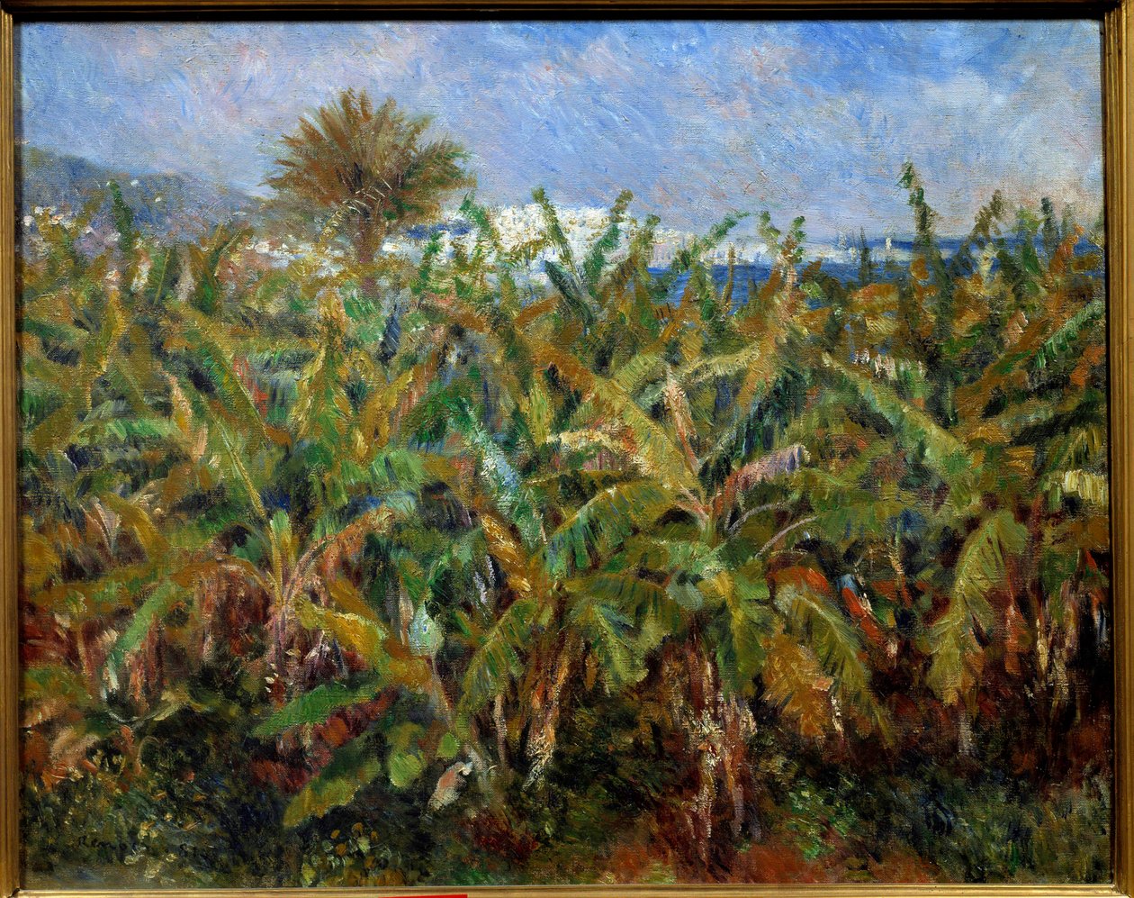 香蕉冠军 Pierre Auguste Renoir (1841-1919) 绘画，1881 年 0,51x0,63 m 巴黎，奥赛博物馆 - 香蕉树田。 皮埃尔·奥古斯特·雷诺阿 (1841-1919) 的画作，1881 年。0.51 x 0.63 m。 巴黎奥赛博物馆 作者 皮埃尔·奥古斯特·雷诺阿