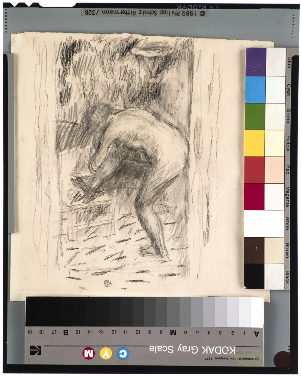 浴后》，约1924年（石墨画 作者 皮埃尔·邦纳德