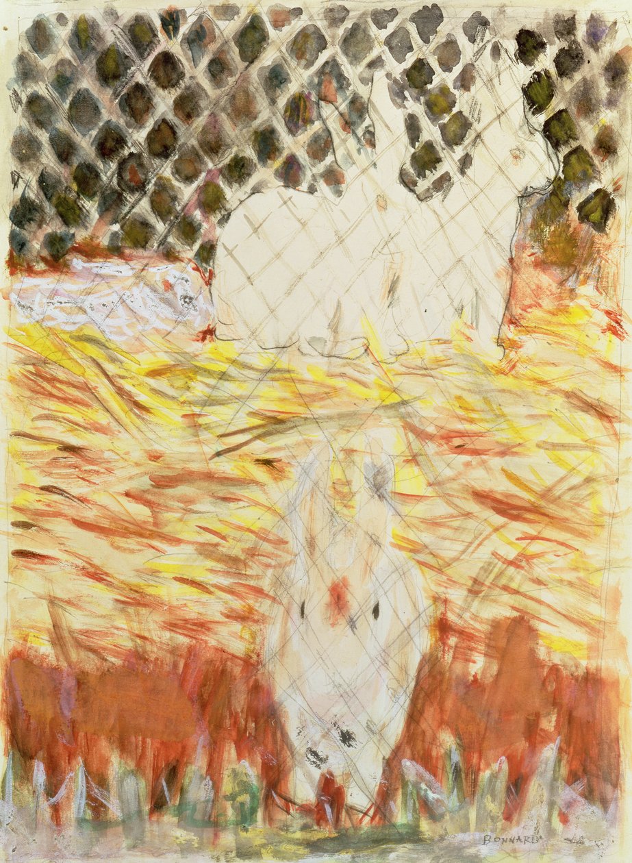 兔子，c.1930 作者 皮埃尔·邦纳德