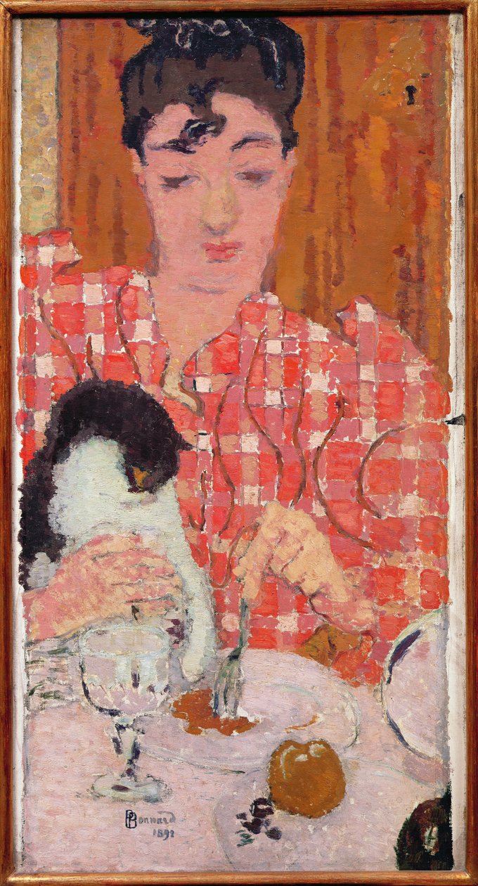 The Checked Blouse，1892 作者 皮埃尔·邦纳德