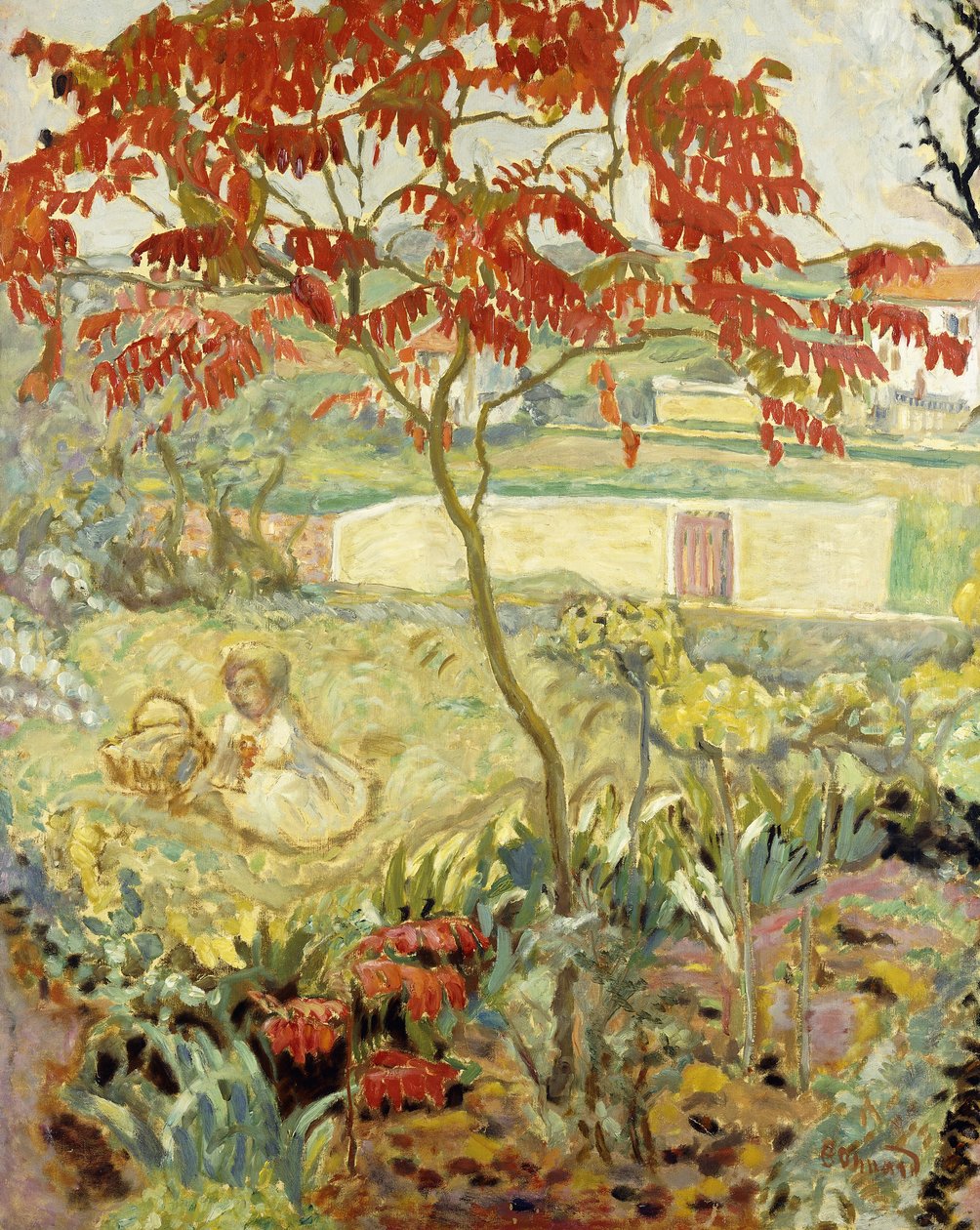 花园和红树； Le Jardin a l&39;Arbre Rouge，约1909年（布面油画） 作者 皮埃尔·邦纳德