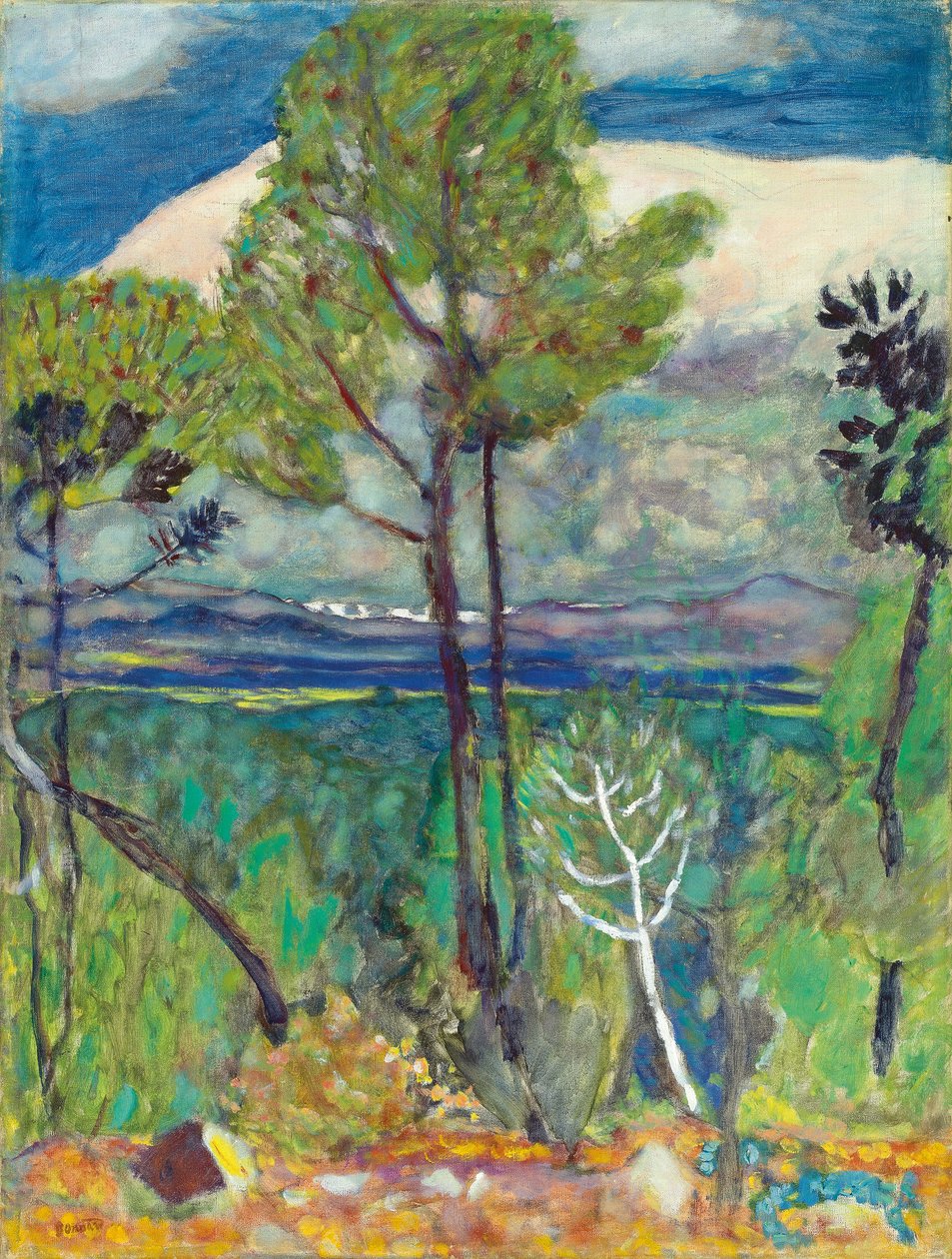松树，在海边，约c.1923（布面油画） 作者 皮埃尔·邦纳德