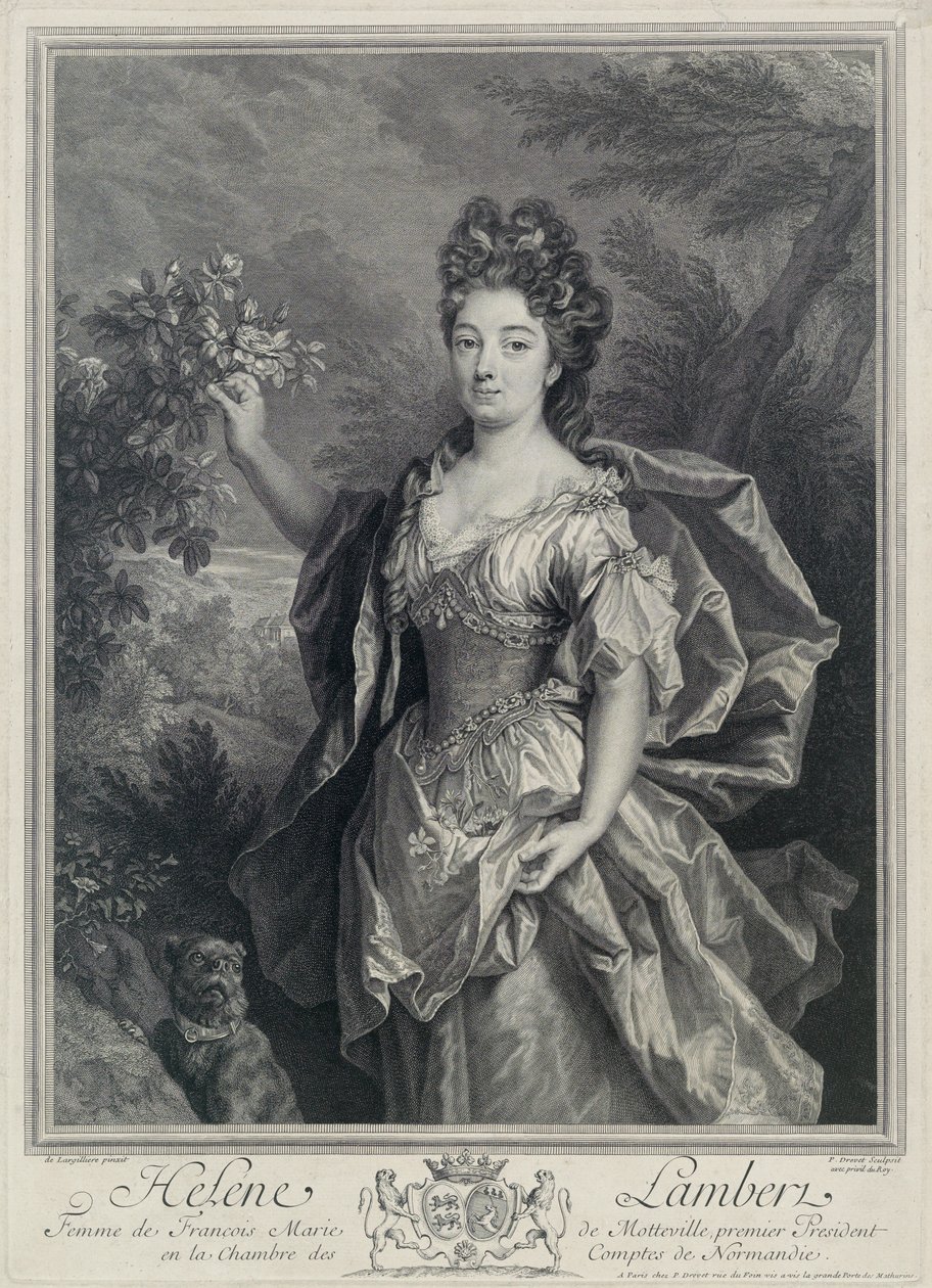 Helene de Motteville 作者 皮埃尔·德雷维