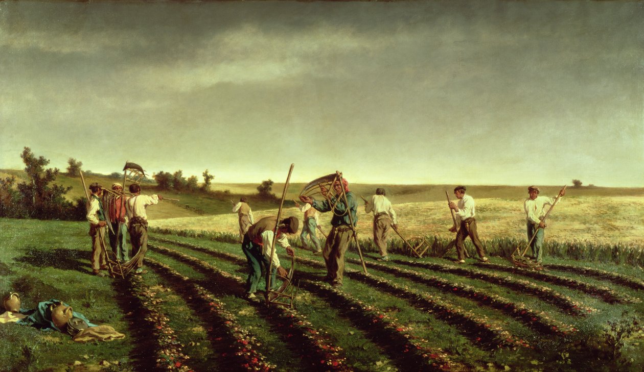 1882年在Chambaudouin收获Sainfoin 作者 皮埃尔·埃德蒙·亚历山大·赫杜因