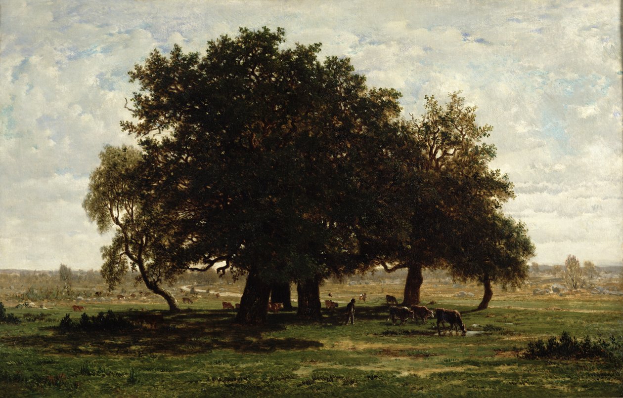 霍尔姆奥克斯，Apremont，1850-52 作者 皮埃尔·艾蒂安·西奥多·卢梭