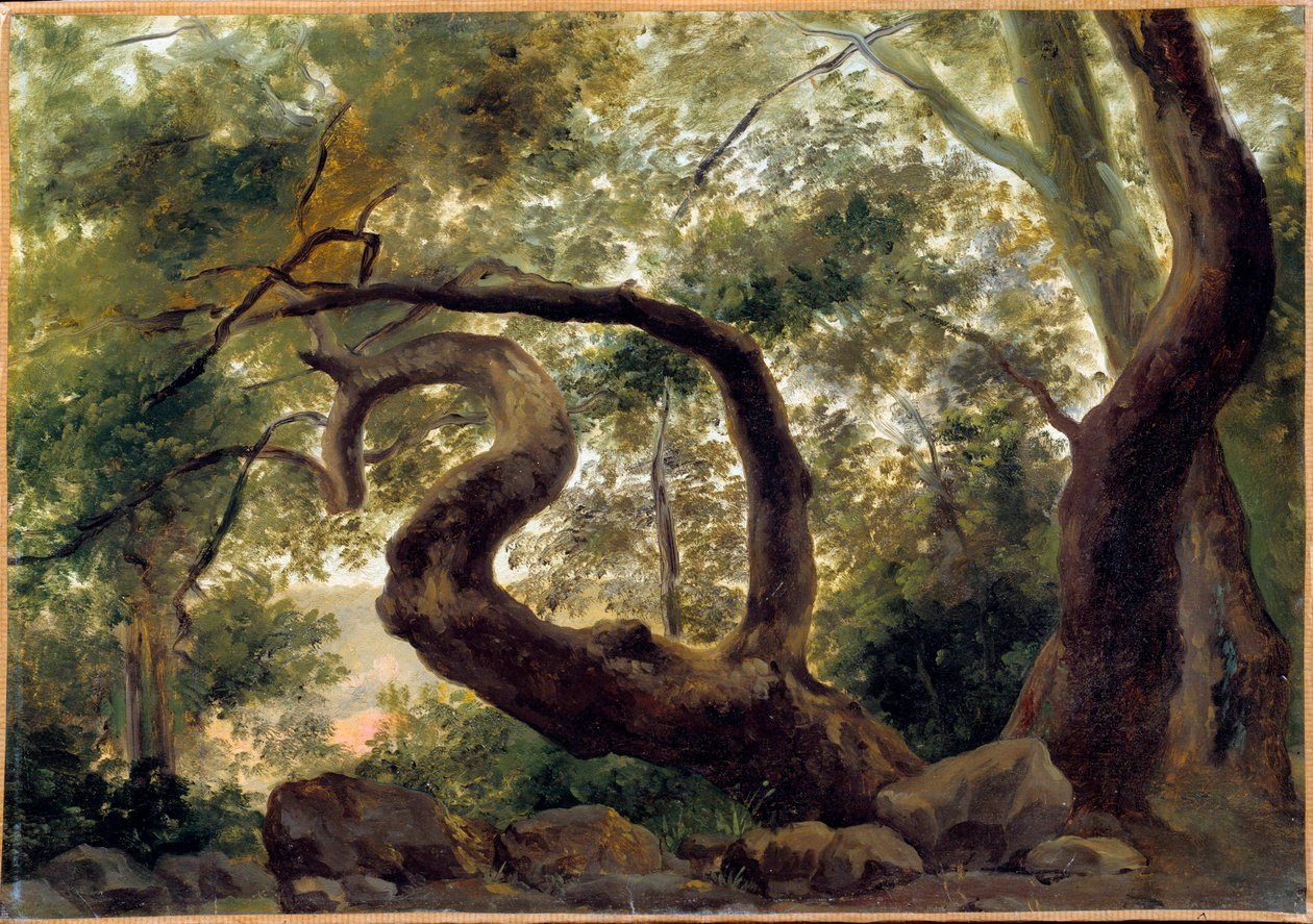 树林下，有扭曲树枝的树木 画家：Pierre H. de Valenciennes (1750-1850) 19世纪 太阳。0,33x0,47米 作者 皮埃尔·亨利·德·瓦朗谢讷