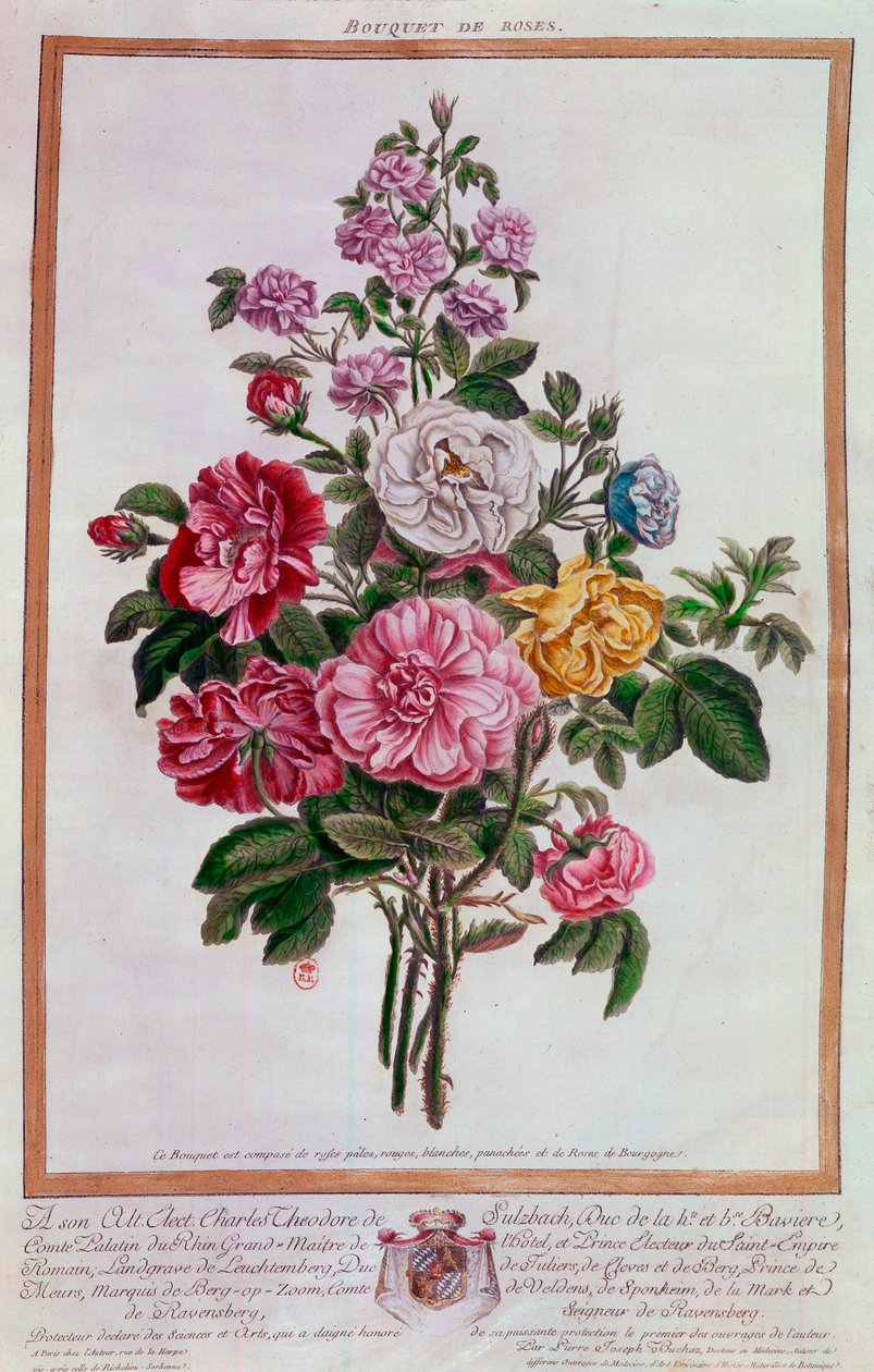 玫瑰花束 皮埃尔-约瑟夫-布霍兹（1731-1807）平版印刷 18世纪 巴黎，B.N. 作者 皮埃尔·约瑟夫·布霍兹