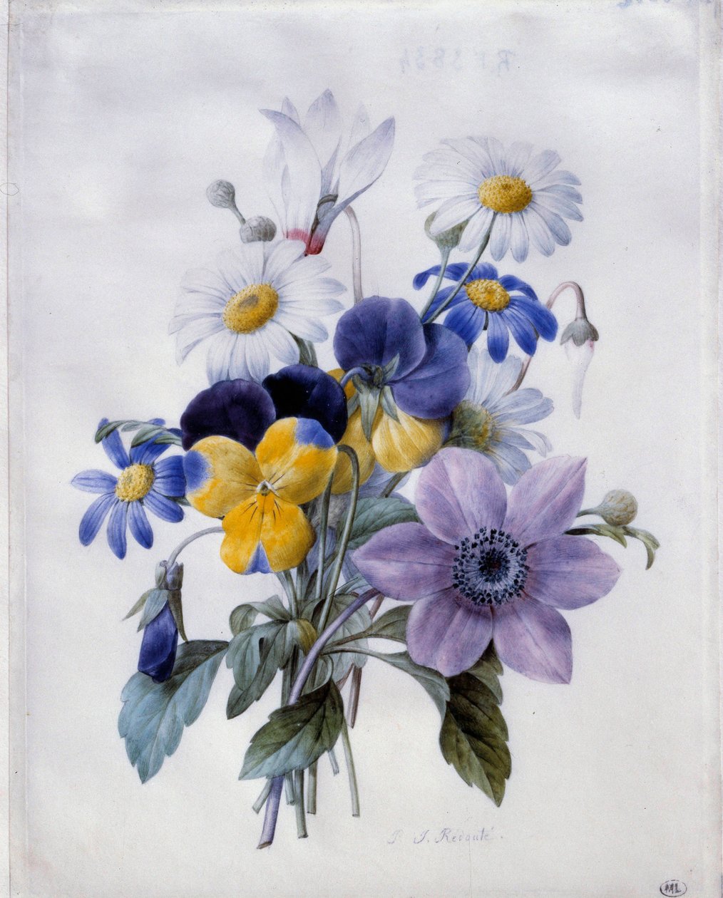 一束鲜花：铁线莲、思想、雏菊和仙客来。 Pierre Joseph Redoute (1759-1840) 的水彩画，19 世纪太阳。 0,19x0,18 米。 巴黎，卢浮宫博物馆 作者 皮埃尔·约瑟夫·雷杜特
