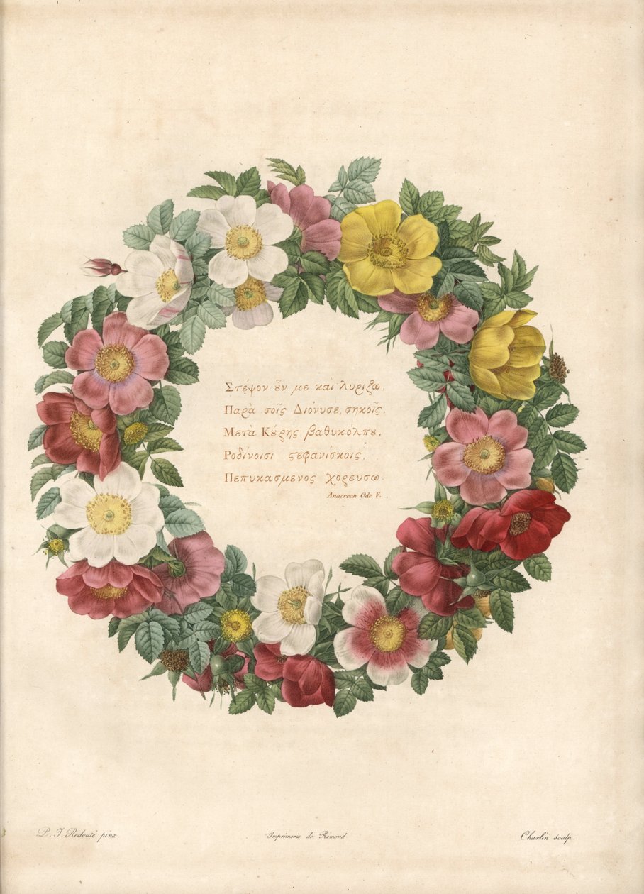 带有希腊格言的玫瑰之冠 - Charlin 的 Eau forte，根据 Pierre Joseph Redoute (1759-1840) 的插图，来自 Les Roses 作者 皮埃尔·约瑟夫·雷杜特