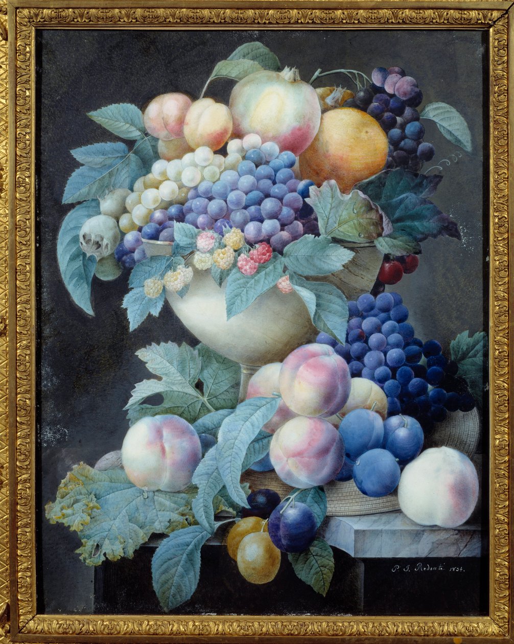 杯子里的葡萄皮埃尔-约瑟夫-雷杜特（1759-1840）的画作 作者 皮埃尔·约瑟夫·雷杜特