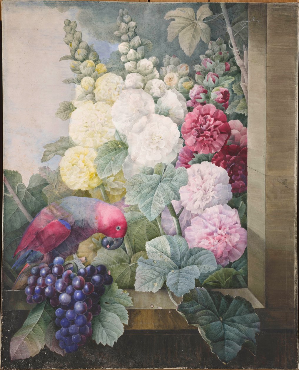 荷花、葡萄和一只鹦鹉，1836年。 作者 皮埃尔·约瑟夫·雷杜特