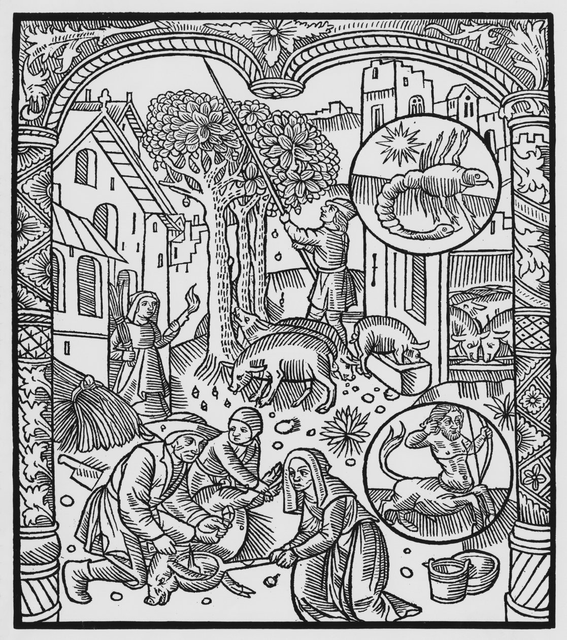 十一月，杀死猪和收获橡子，天蝎座，插图来自&39;Almanach des Bergers&39;，1491（xylograph） 作者 皮埃尔·勒·鲁格