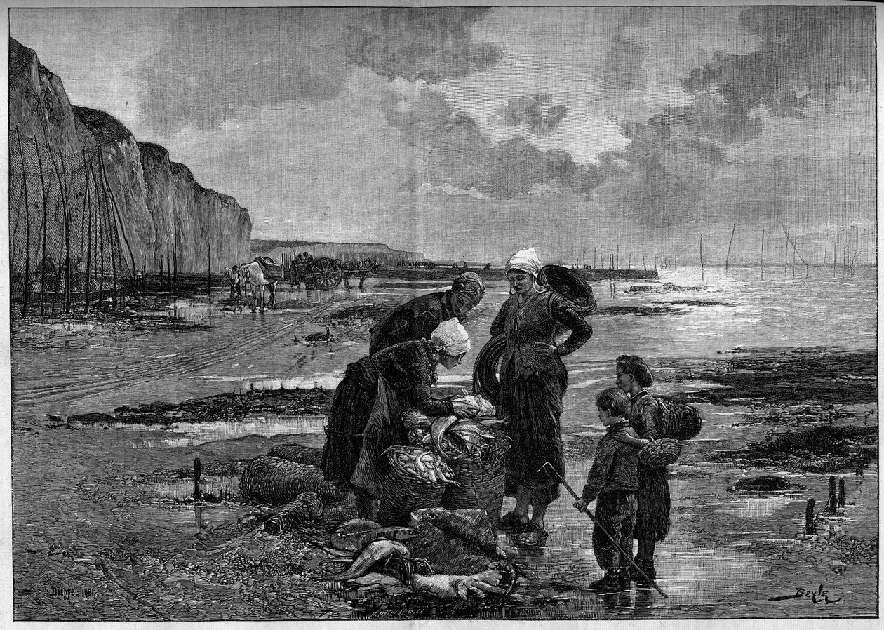 迪耶普的捕鱼，低矮的马利。根据皮埃尔-贝勒（1838-1902）在9月2日《插图世界》第1327期上的画作雕刻的。 作者 皮埃尔·玛丽（Beirle）