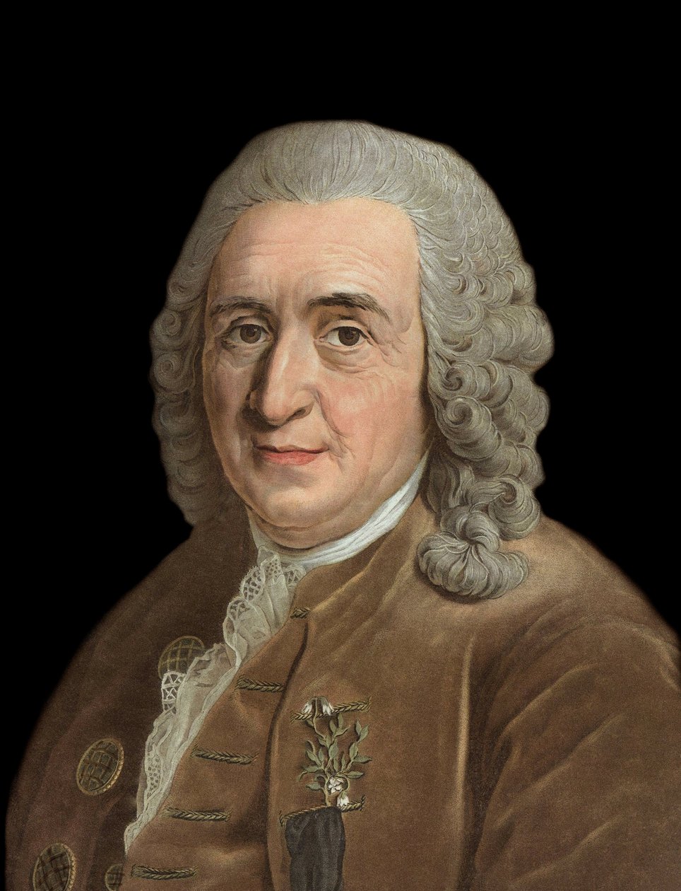瑞典博物学家查尔斯-林恩（卡尔-冯-林恩，Linneus 1707 - 1778）的肖像--皮埃尔-米歇尔-阿里克斯（1762-1817）的版画。 作者 皮埃尔·米歇尔·阿利克斯