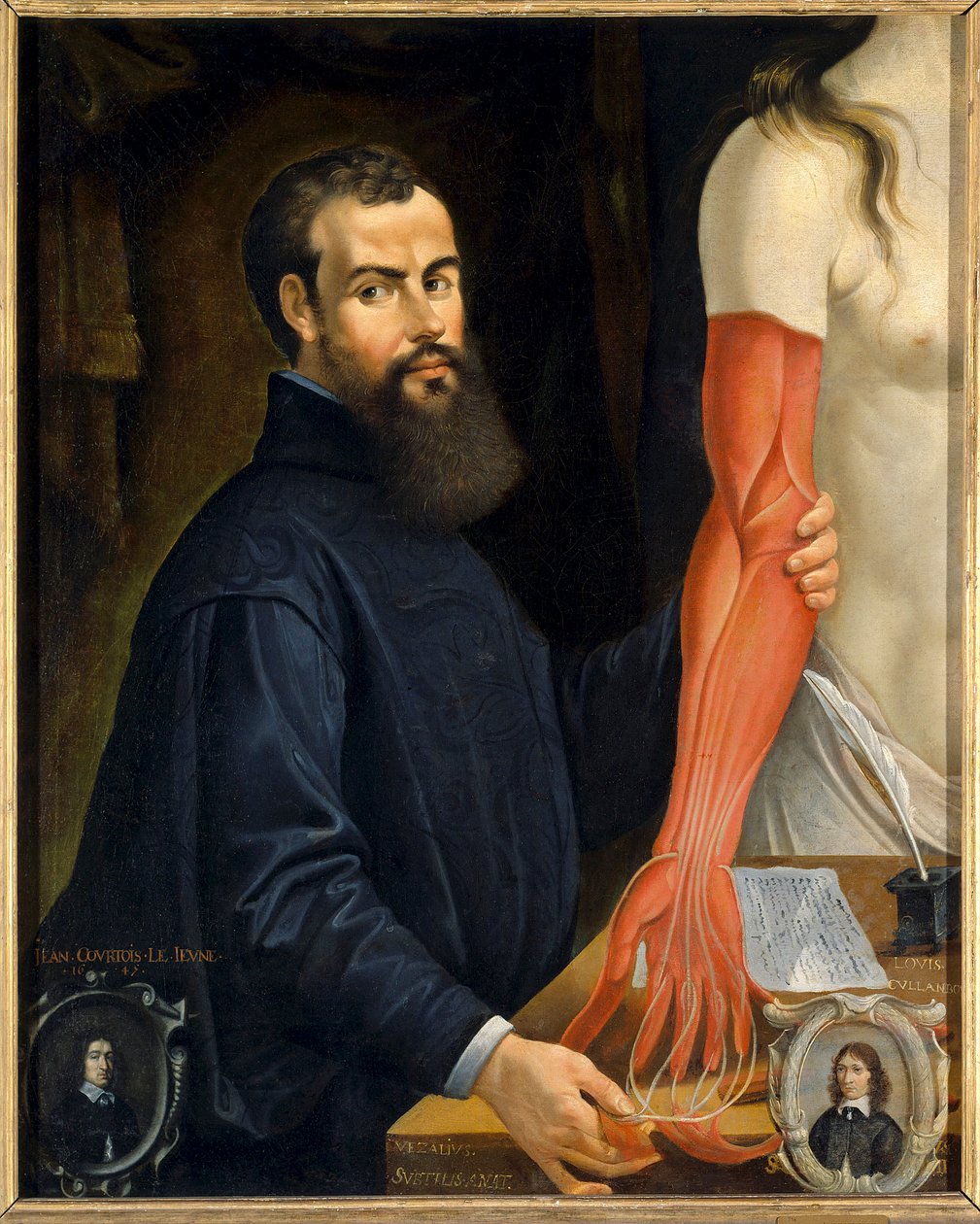 查尔斯五世（1514-1564）的解剖学家和医生安德烈-维萨里（Andrea Vesalius或Andries Van Wesel）的肖像" 皮埃尔-庞塞（1574-1640）的绘画，太阳。0,96 X 0,77 m 奥尔良美术博物馆 - 安德烈-瓦萨利乌斯（或安德里斯-范韦塞尔）的肖像（157 作者 皮埃尔·庞塞