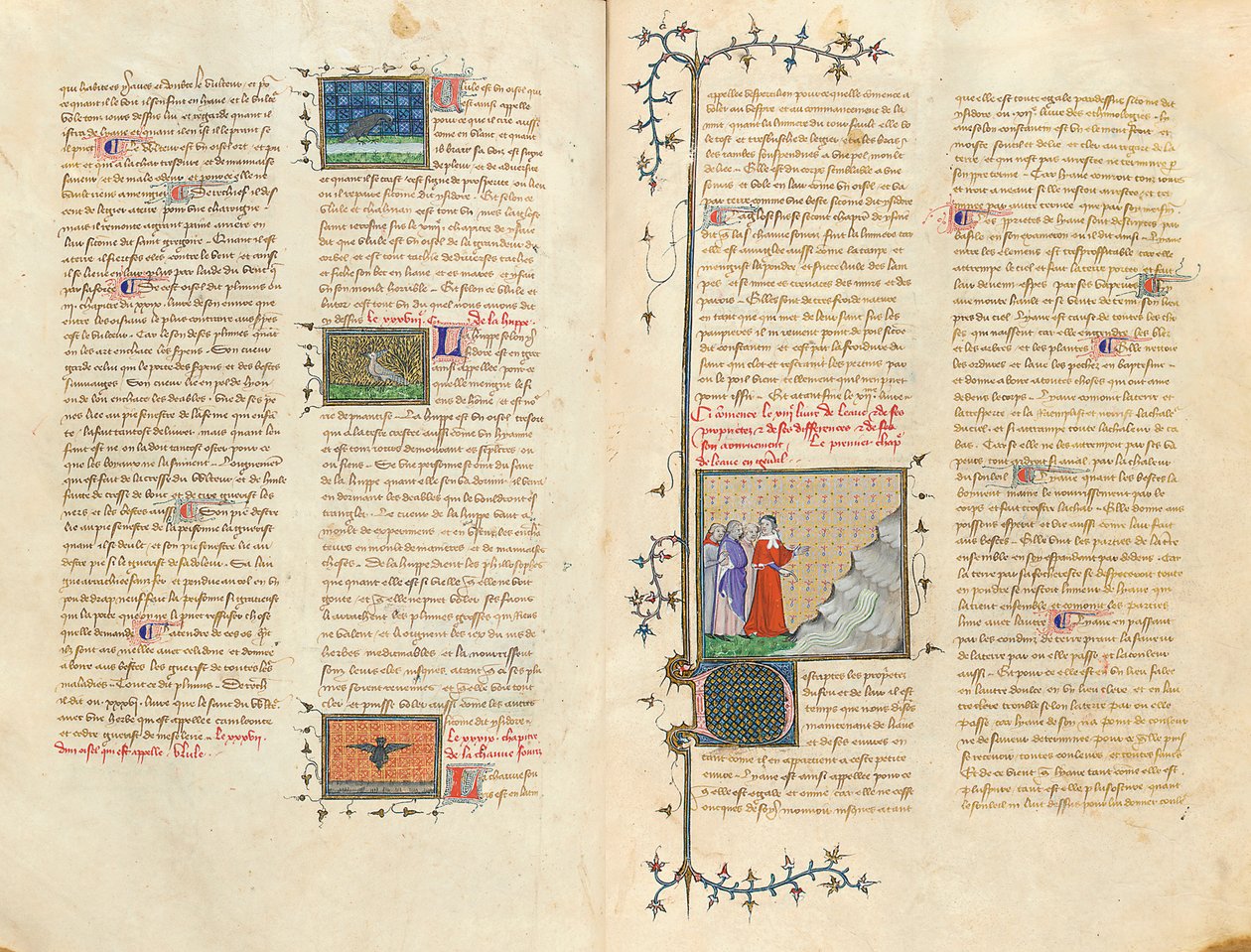 从让Corbechon的法语翻译“物性”，由缪英国人页，c.1390 作者 皮埃尔·雷米耶