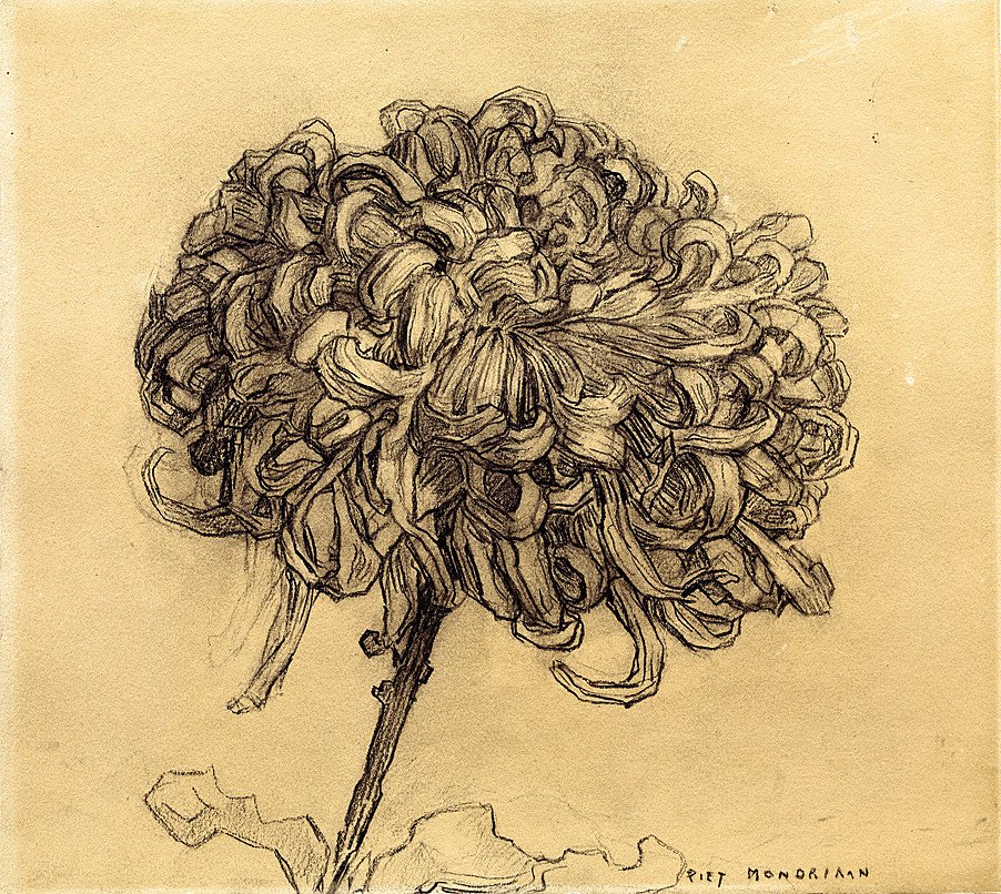 菊花 作者 彼得·蒙德里安