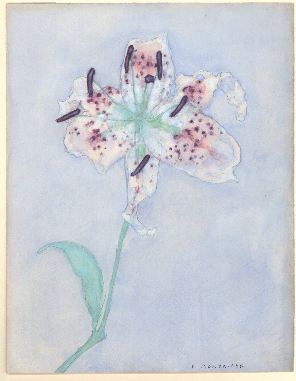 百合，1921年后（纸上写的） 作者 彼得·蒙德里安