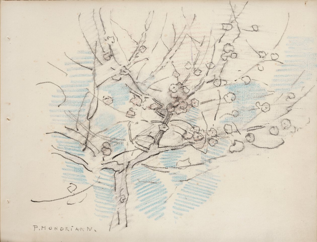 开花的树，c.1917-18（纸上铅笔和蜡笔） 作者 彼得·蒙德里安