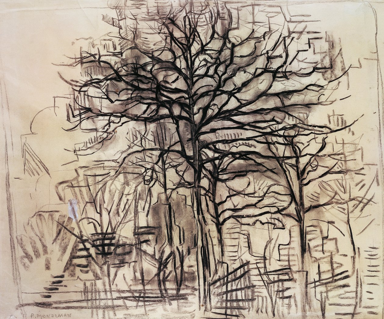 树木研究，由 Piet Mondrian (1872-1944)，木炭和白铅绘图。 荷兰，20 世纪。 作者 彼得·蒙德里安