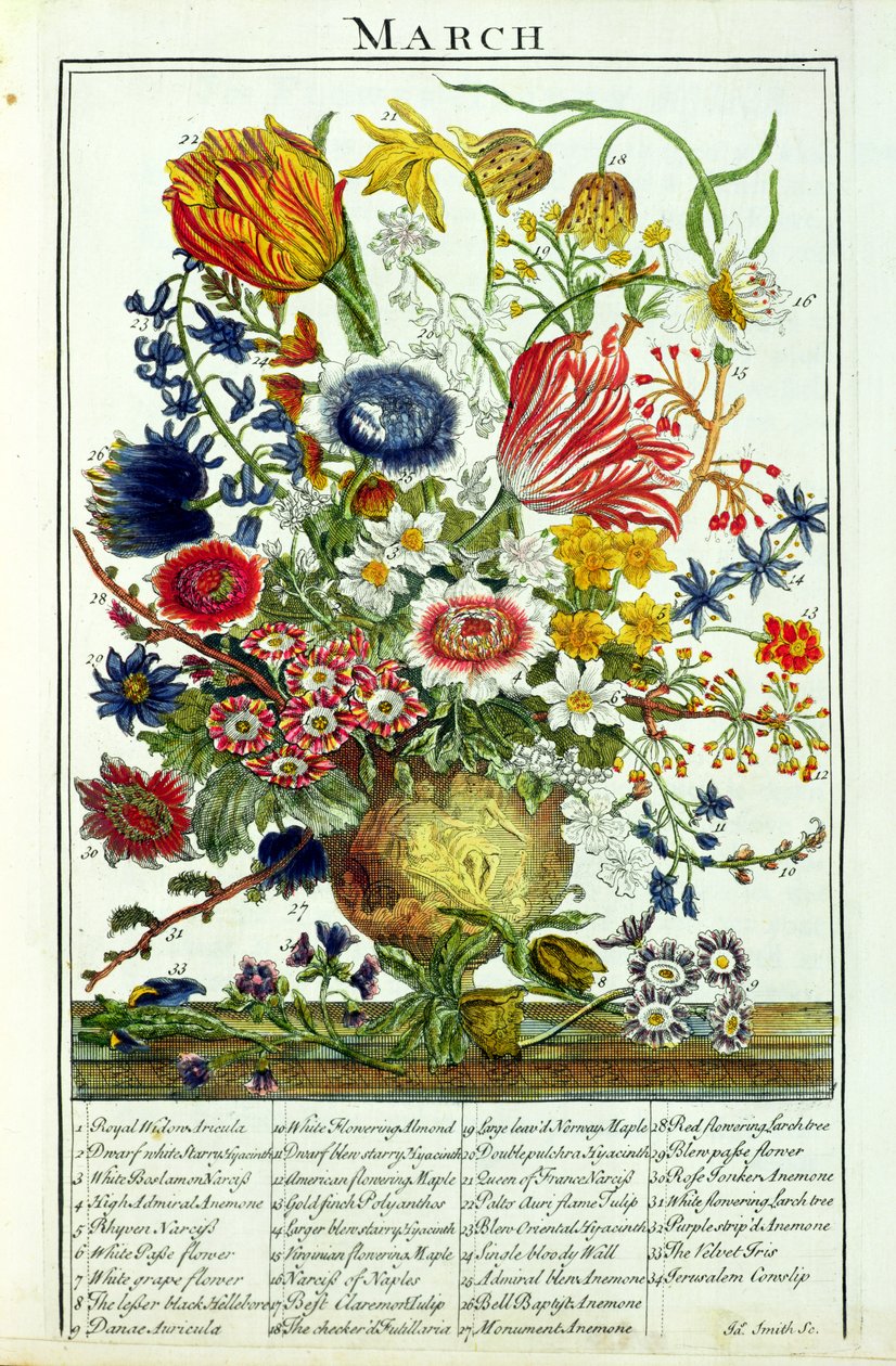 三月，来自Robert Furber（c.1674-1756）的“花园展示”，由James Smith，酒吧刻。 1732 作者 彼得卡斯特尔