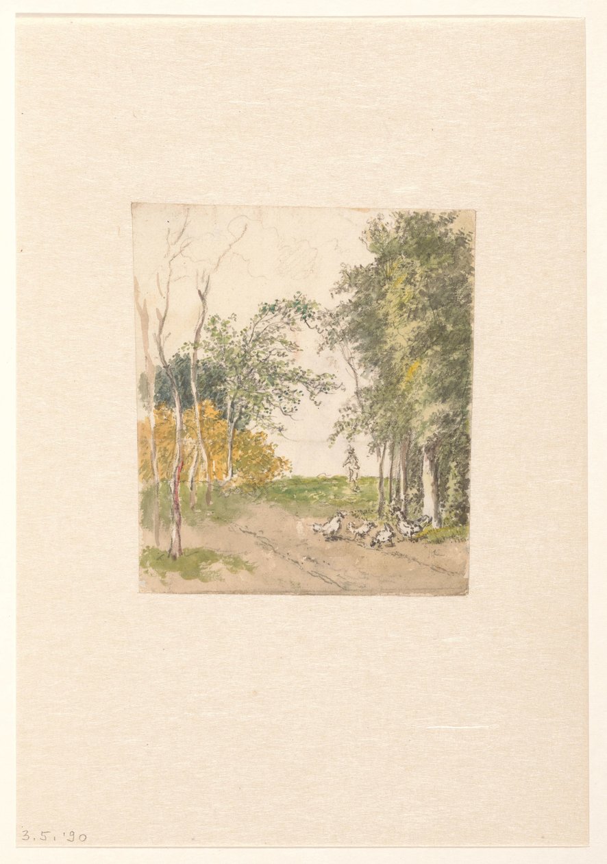 沿路有鸡的风景 作者 彼得·巴塞洛缪斯。理发师