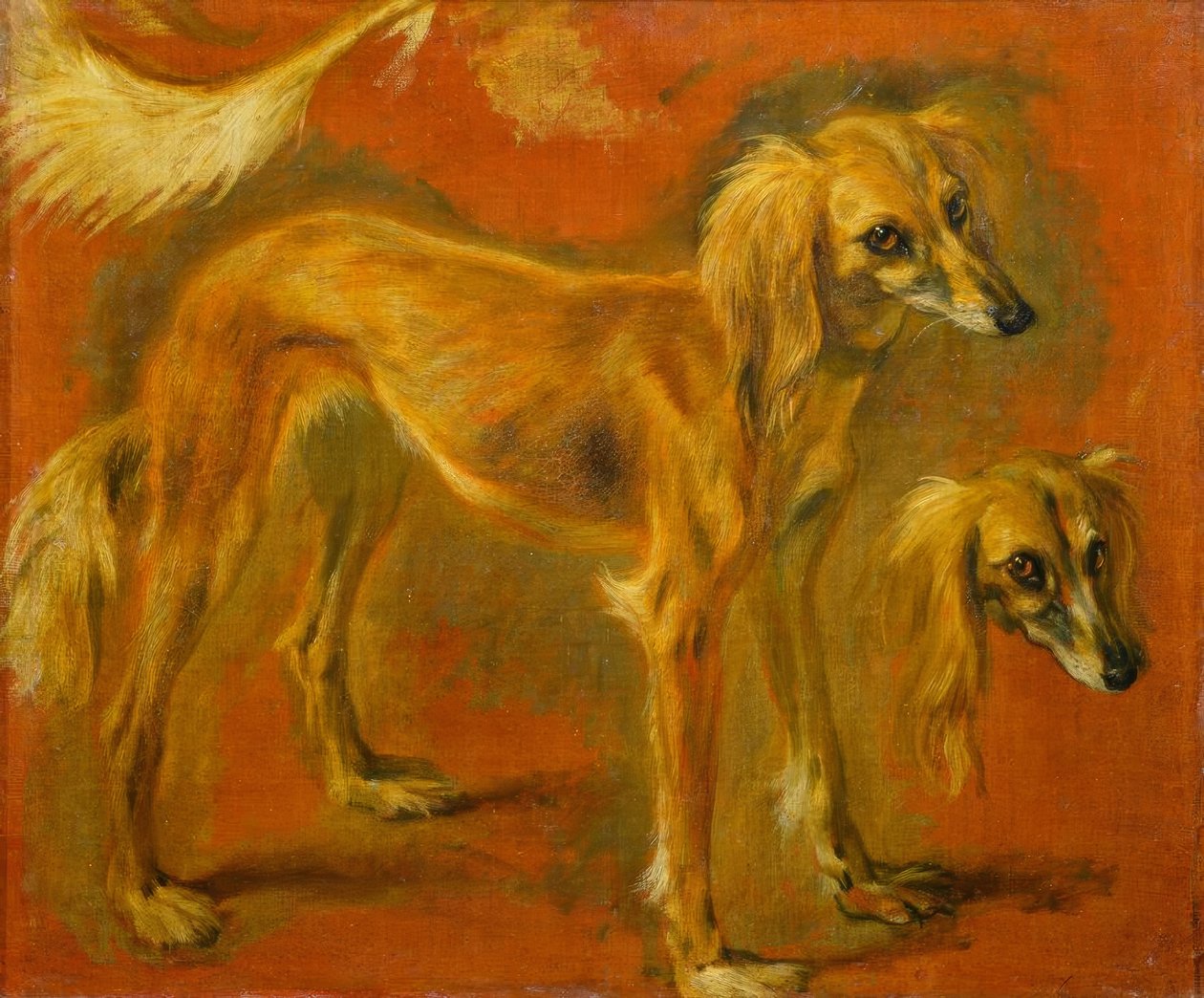 关于灵缇犬的两项研究 作者 彼得或彼得·博尔