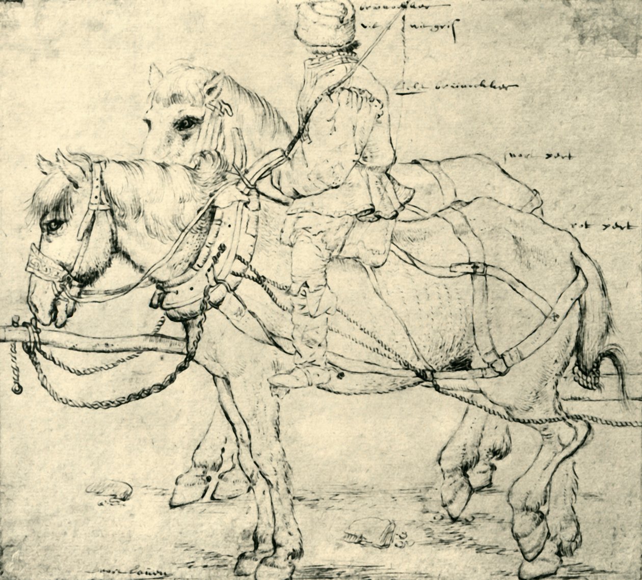 骑手和两匹马，1559年至1563年，1943年。 作者 彼得·布鲁格（Pieter Bruegel）
