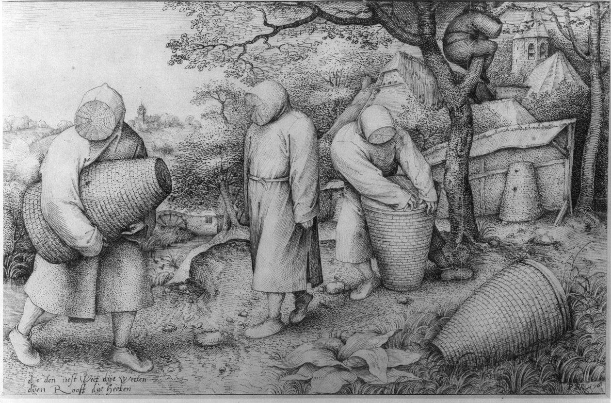 养蜂人，《如果你知道宝藏在哪里，你就可以去抢》，约 1567-68 年 作者 彼得·布鲁格（Pieter Bruegel）