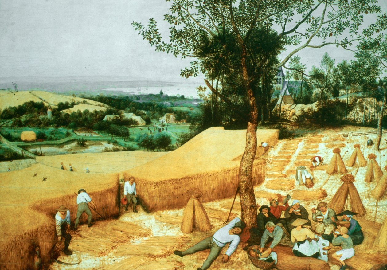 收割机，1565年 作者 彼得·布鲁格（Pieter Bruegel）