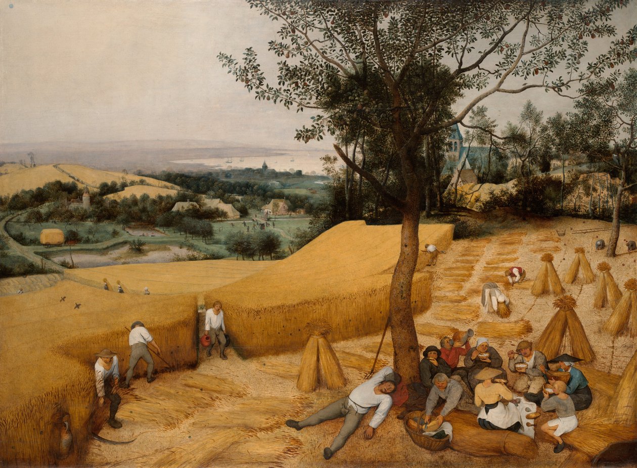 收割者，1565年。 作者 彼得·布鲁格（Pieter Bruegel）
