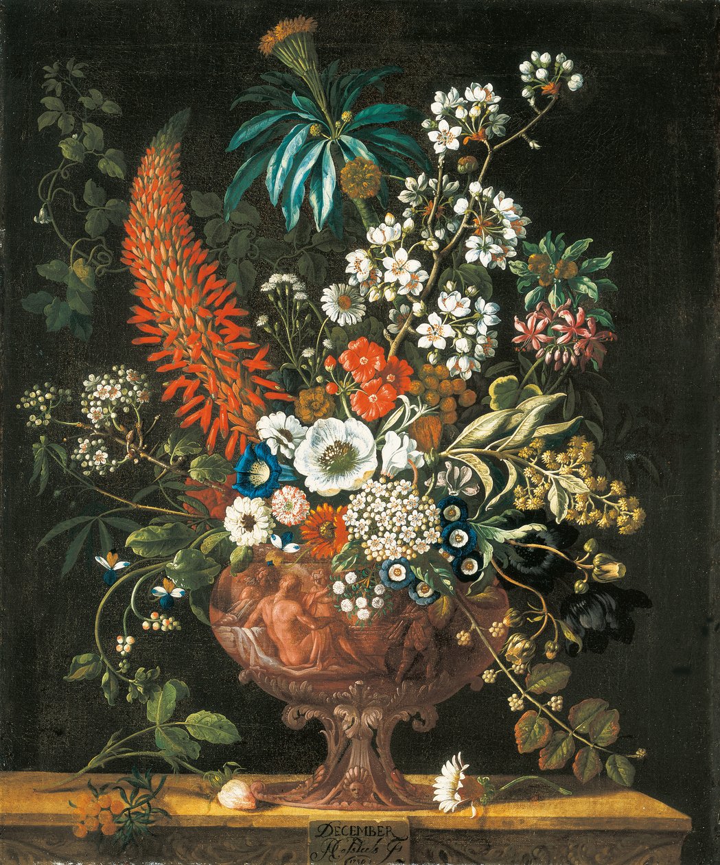 12月，摘自《花的十二个月》，静物的花卉日历，1730年 作者 彼得卡斯特尔