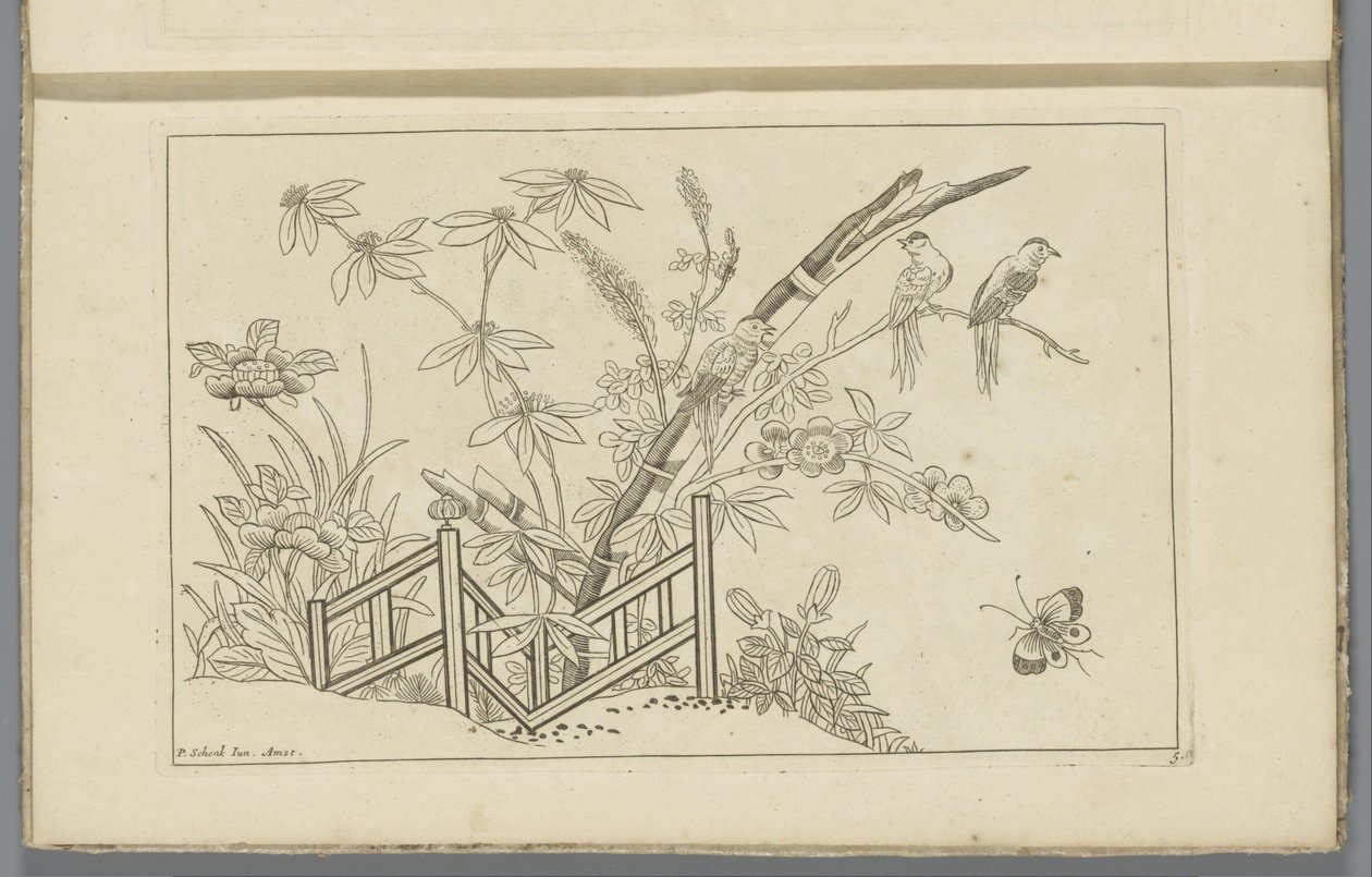 三只鸟在一棵开花的树上 中国花鸟（丛书名） 作者 彼得·申克 (II)