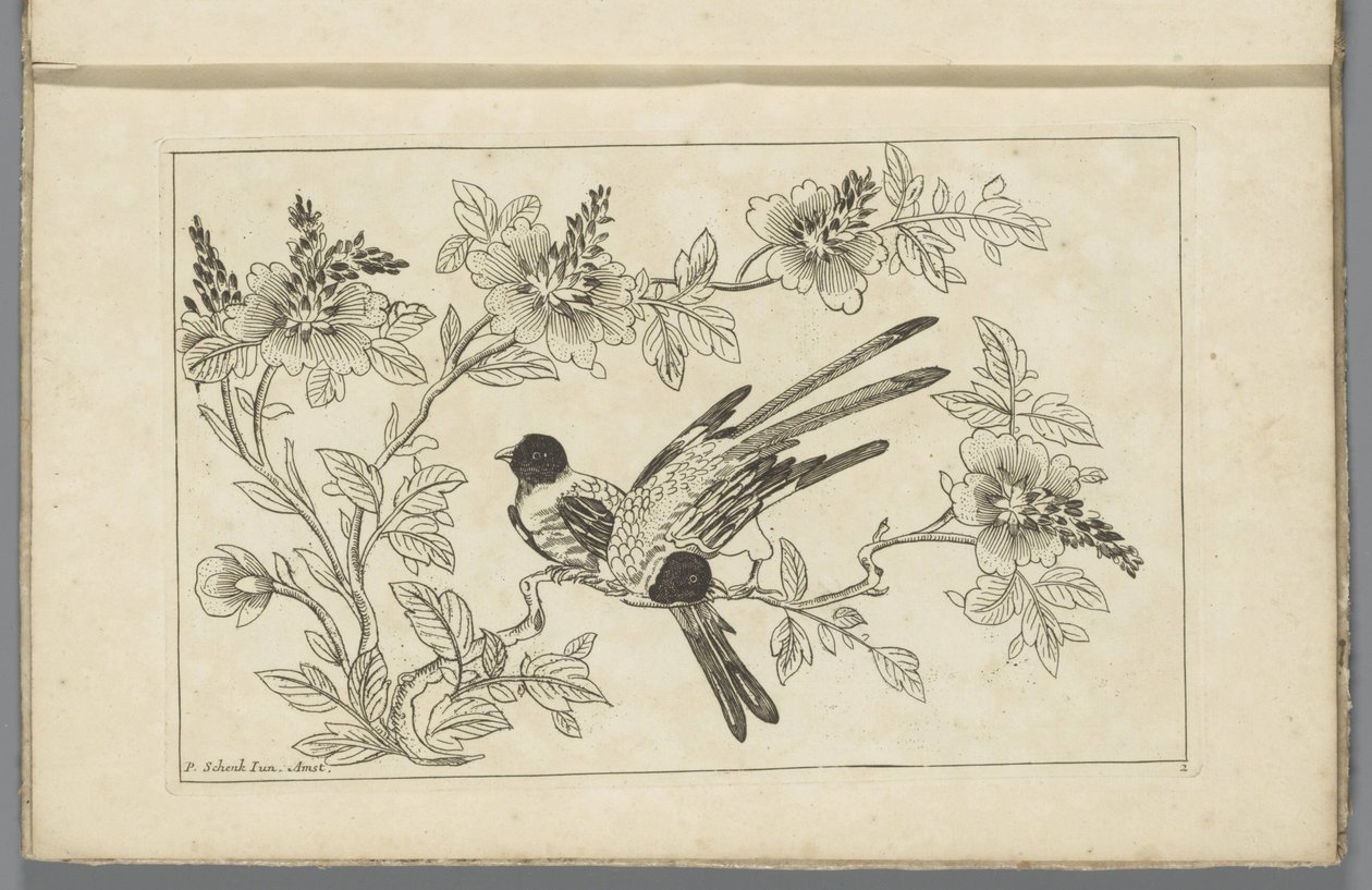 花枝上的两只鸟
中国花鸟 作者 彼得·申克 (II)