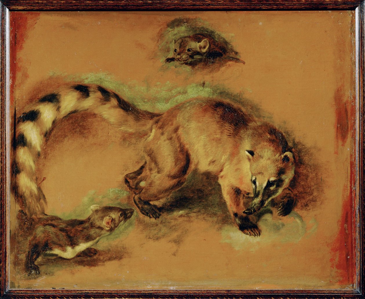 一只浣熊和一只小啮齿动物（布面油画） 作者 彼得或彼得·博尔