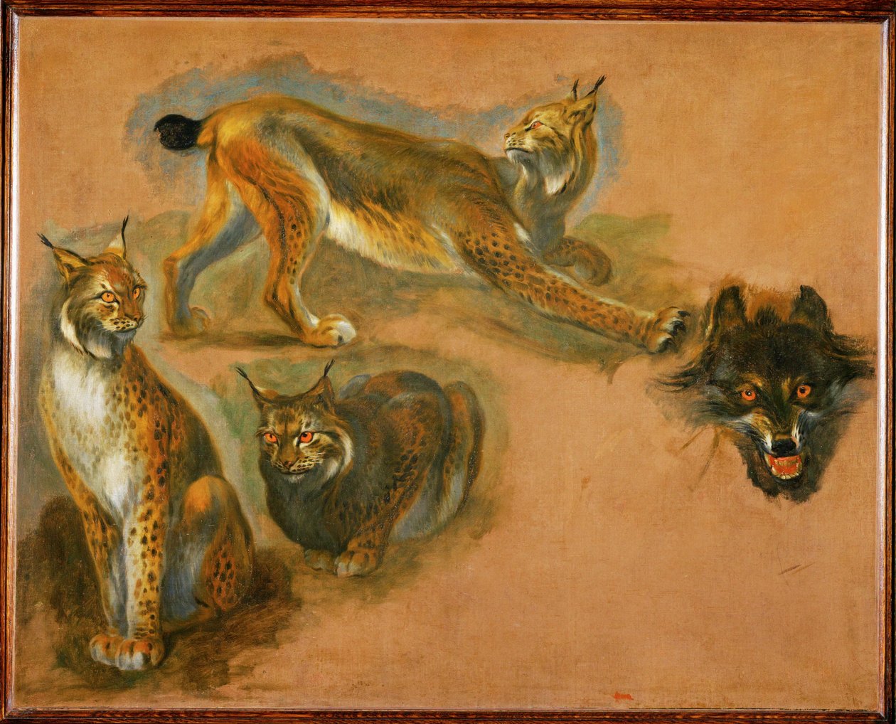 猞猁，狼头（布面油画） 作者 彼得或彼得·博尔