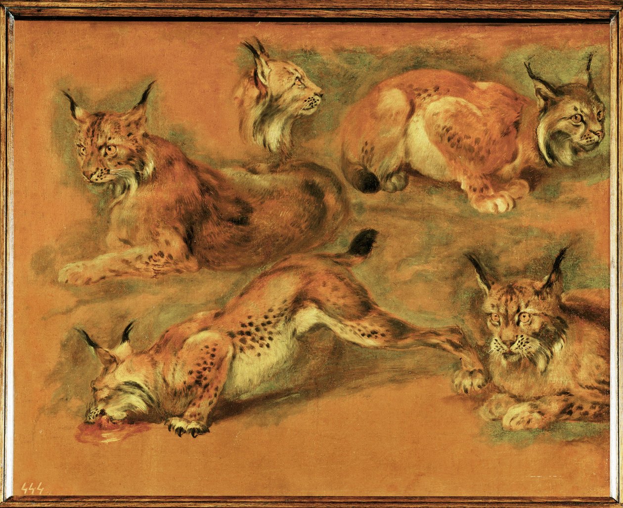 猞猁研究（布面油画） 作者 彼得或彼得·博尔