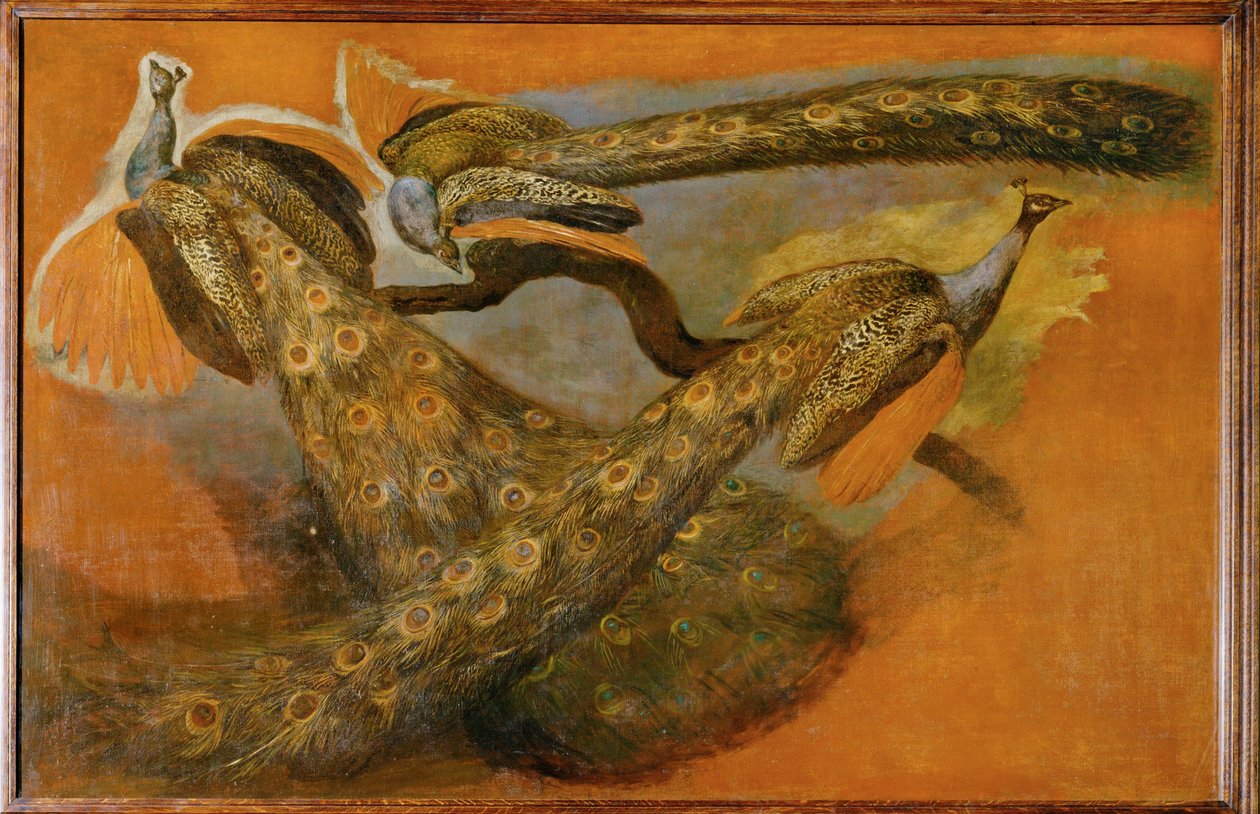 三只孔雀（布面油画） 作者 彼得或彼得·博尔