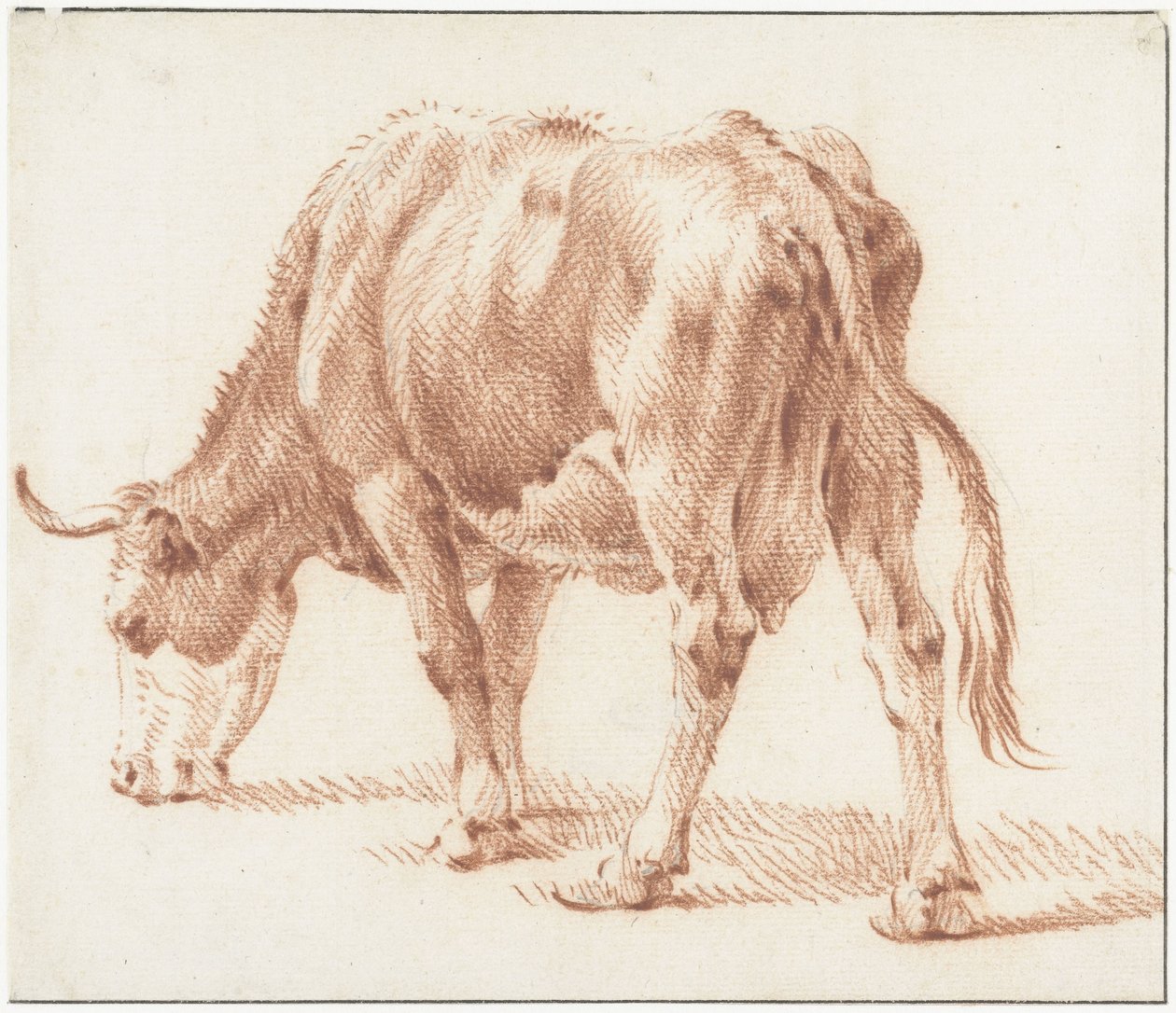 左边的牧牛 作者 彼得·范·布洛门（Pieter van Bloemen）