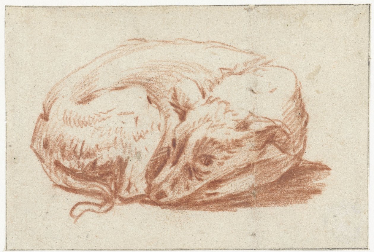 说谎的狗 作者 彼得·范·布洛门（Pieter van Bloemen）