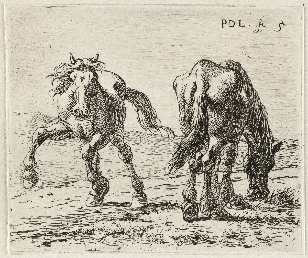 德语: Zwei Pferde auf einer Weide
法语：Les deux chevaux au pâturage
草地上的两匹马 作者 彼得·凡·拉尔