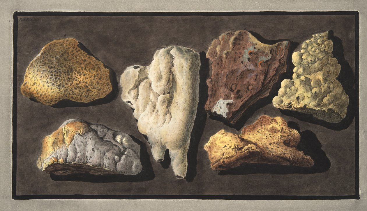 威廉·汉密尔顿爵士（1730-180）从“Campi Phlegraei：对两个西西里火山的观察”中从维苏威火山口内部采取的火山物质标本 作者 彼得罗·法布里斯（Pietro Fabris）