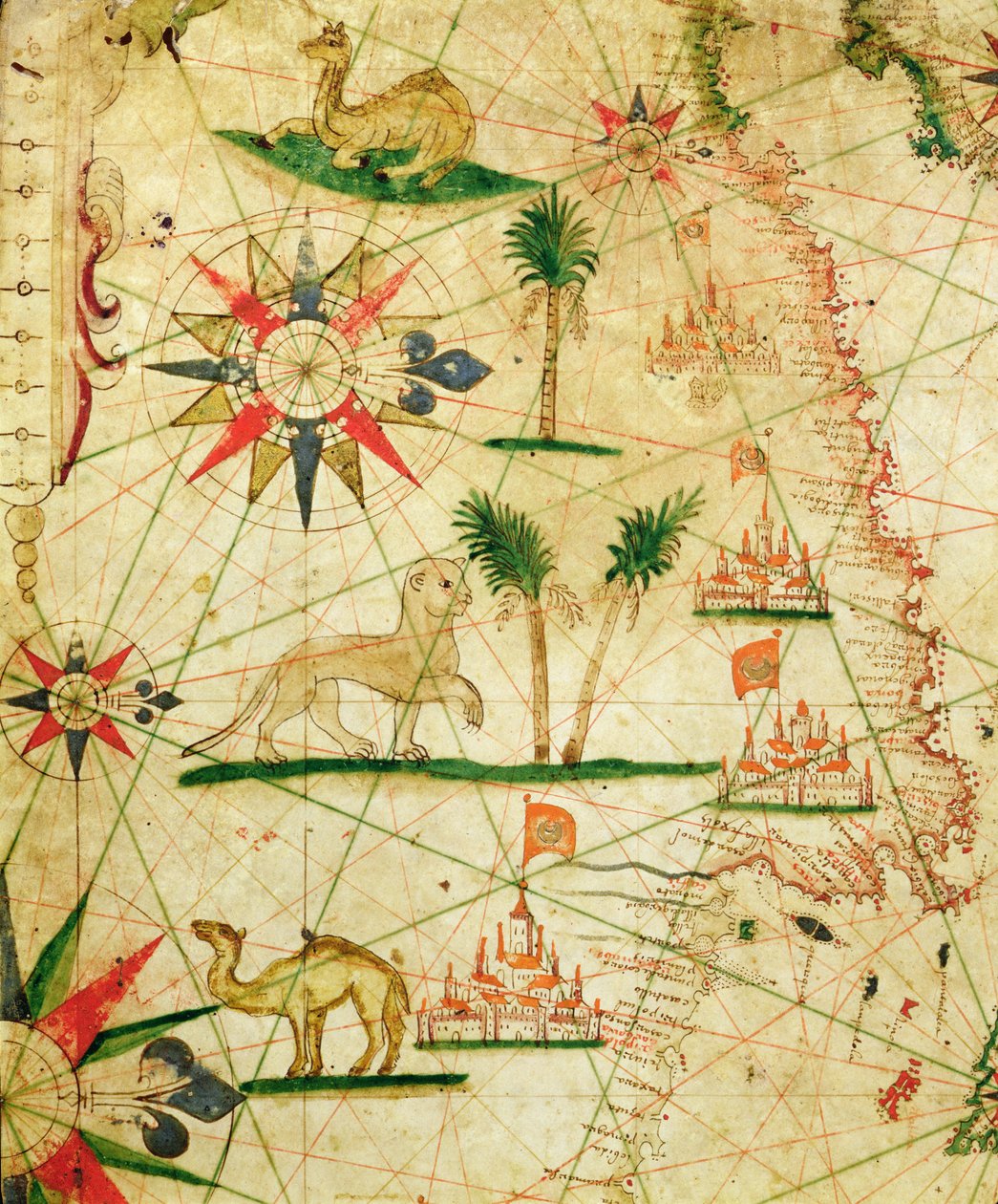 非洲北部海岸，从航海地图集，1651年（牛皮纸上的墨水）（细节从330922） 作者 彼得罗·乔瓦尼·李子