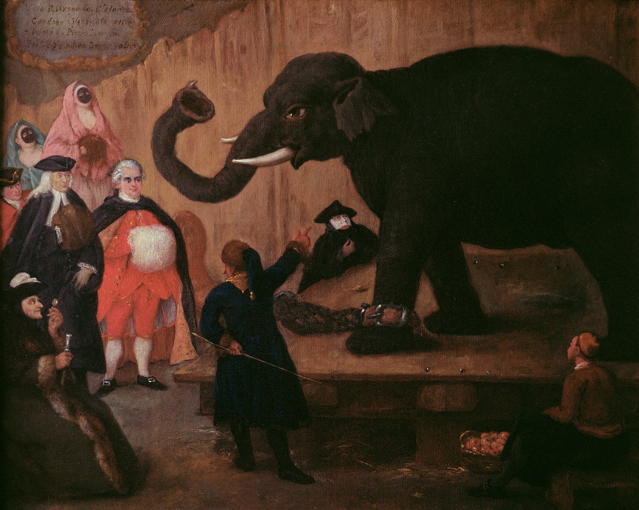 在威尼斯显示的大象 作者 彼得·隆吉（Pietro Longhi）