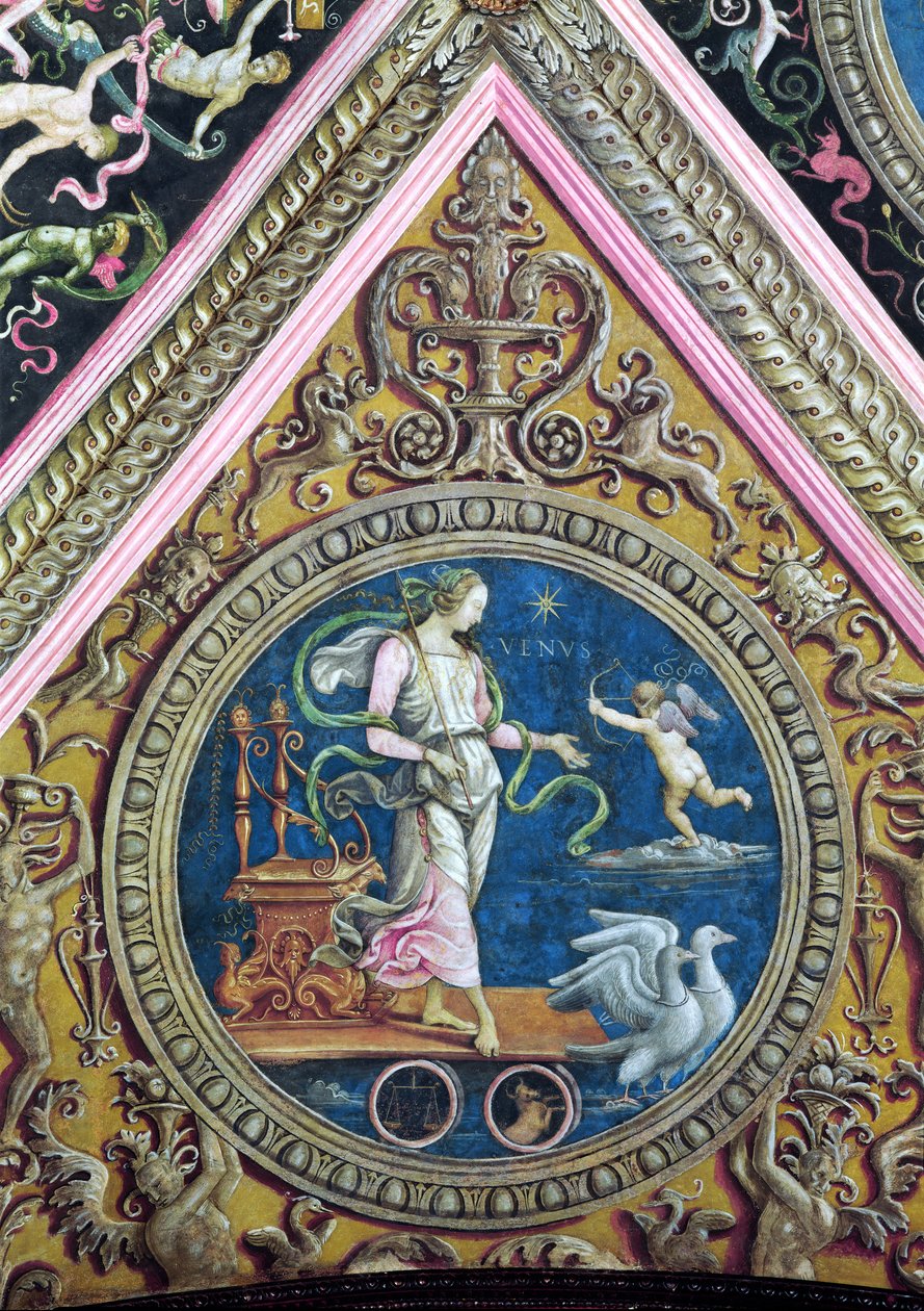 维纳斯，来自Sala dell&39;Udienza，1496-1500 作者 彼得罗·佩鲁吉诺（Pietro Perugino）
