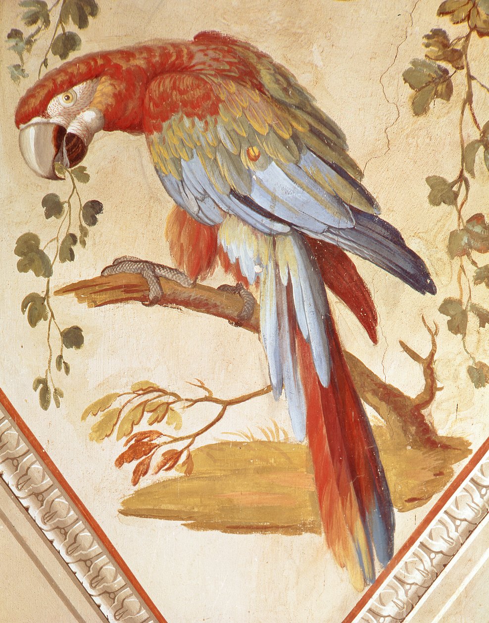 鹦鹉（壁画） 作者 彼得罗·罗塔蒂（Pietro Rotati）